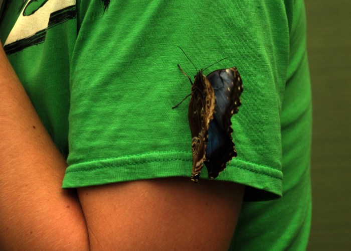 never gonna let you go