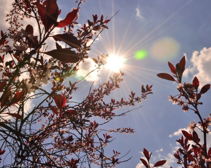 Reaching for the Sky