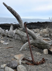 driftwood anchor enhanced