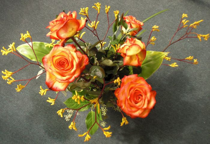 Talismen roses Aug 09